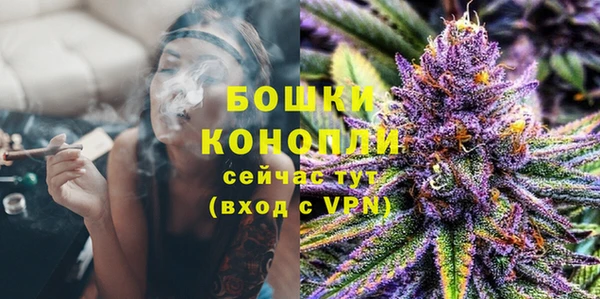 ГАЛЛЮЦИНОГЕННЫЕ ГРИБЫ Ельня