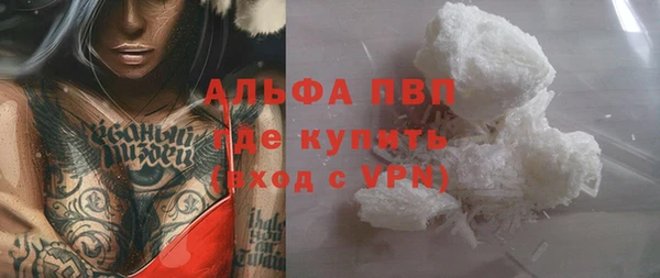 ГАЛЛЮЦИНОГЕННЫЕ ГРИБЫ Ельня