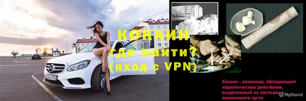 ГАЛЛЮЦИНОГЕННЫЕ ГРИБЫ Ельня