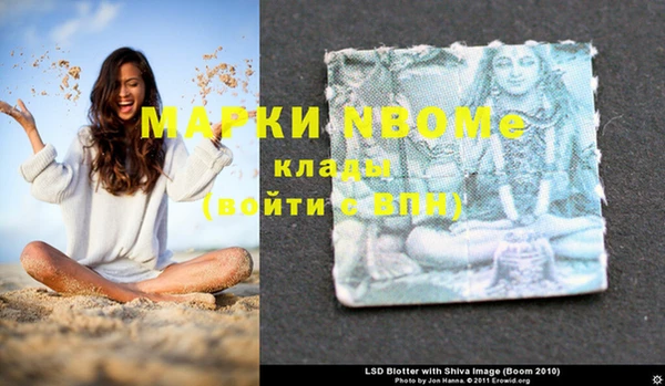 ГАЛЛЮЦИНОГЕННЫЕ ГРИБЫ Ельня