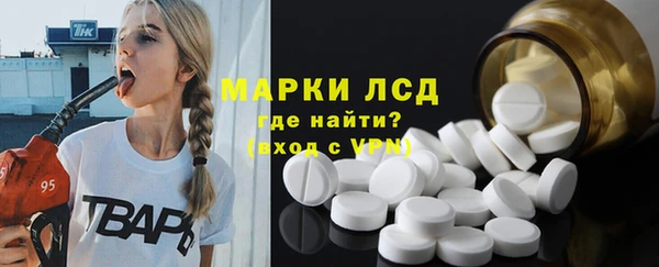 ГАЛЛЮЦИНОГЕННЫЕ ГРИБЫ Ельня