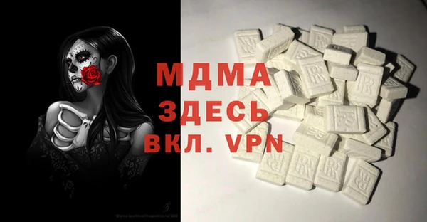 ГАЛЛЮЦИНОГЕННЫЕ ГРИБЫ Ельня