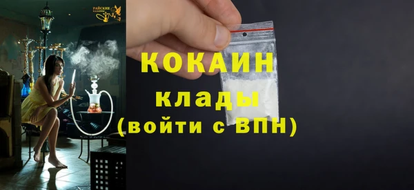 ГАЛЛЮЦИНОГЕННЫЕ ГРИБЫ Ельня