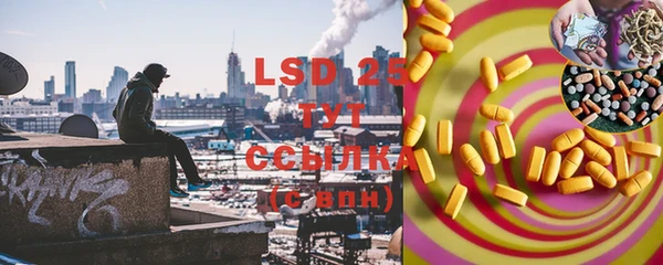 ГАЛЛЮЦИНОГЕННЫЕ ГРИБЫ Ельня