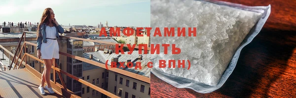 ГАЛЛЮЦИНОГЕННЫЕ ГРИБЫ Ельня