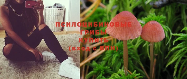 герыч Елизово
